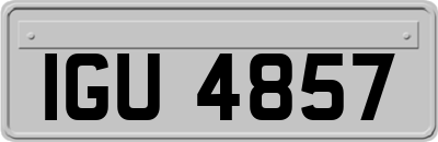 IGU4857