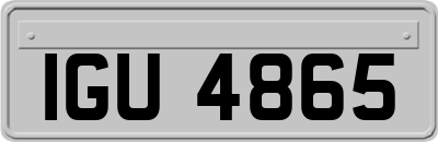 IGU4865