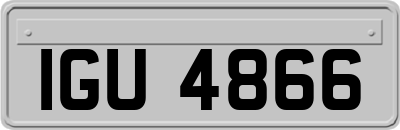 IGU4866