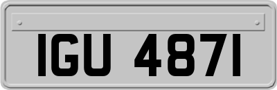 IGU4871