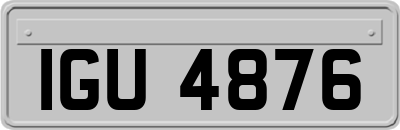 IGU4876