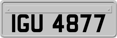 IGU4877