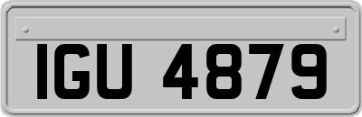 IGU4879