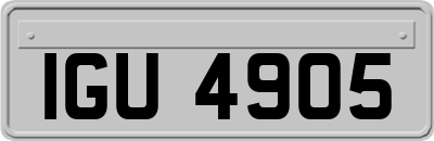 IGU4905
