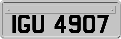 IGU4907
