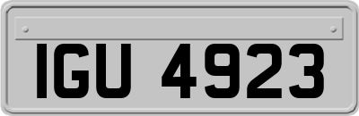 IGU4923