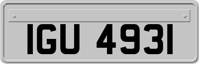 IGU4931