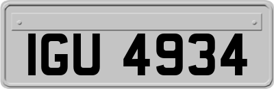 IGU4934