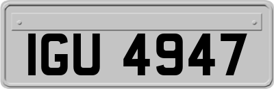 IGU4947