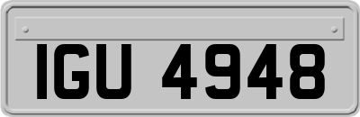 IGU4948