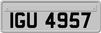 IGU4957