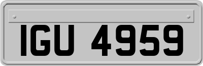 IGU4959