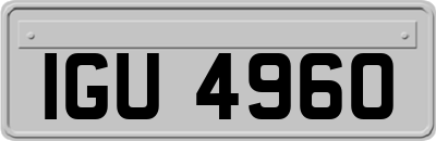 IGU4960