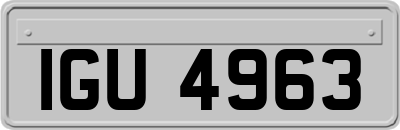 IGU4963