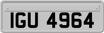 IGU4964