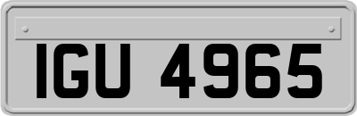 IGU4965