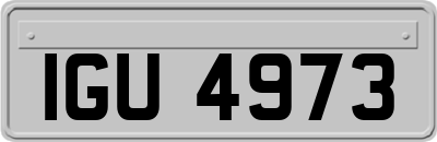 IGU4973