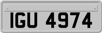 IGU4974