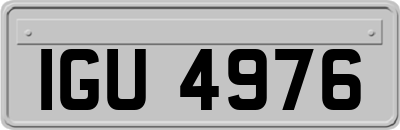 IGU4976