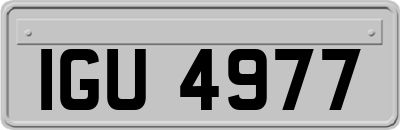 IGU4977