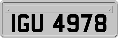 IGU4978