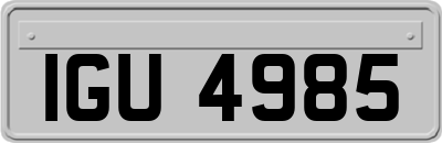 IGU4985