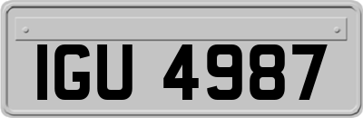 IGU4987