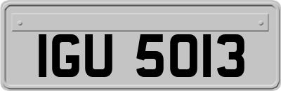 IGU5013
