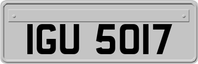 IGU5017