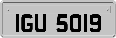 IGU5019