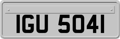 IGU5041