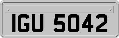 IGU5042