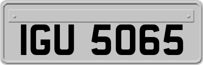 IGU5065