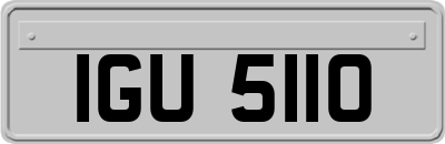 IGU5110