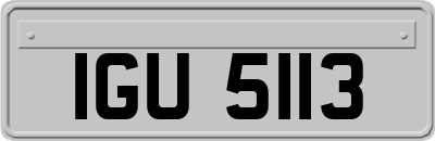 IGU5113