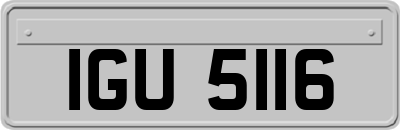 IGU5116