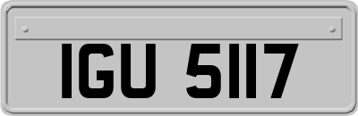 IGU5117