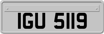 IGU5119