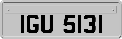 IGU5131