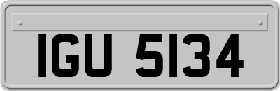 IGU5134