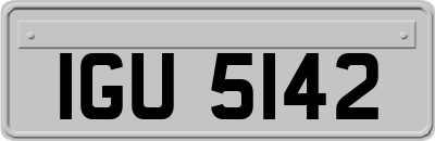 IGU5142