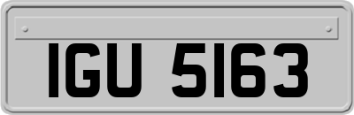 IGU5163