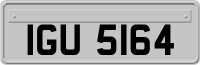 IGU5164