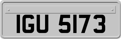IGU5173