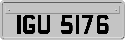 IGU5176