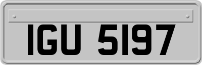 IGU5197