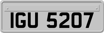 IGU5207