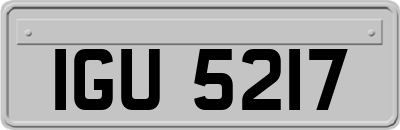 IGU5217