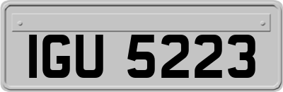 IGU5223