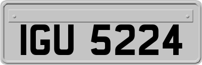 IGU5224